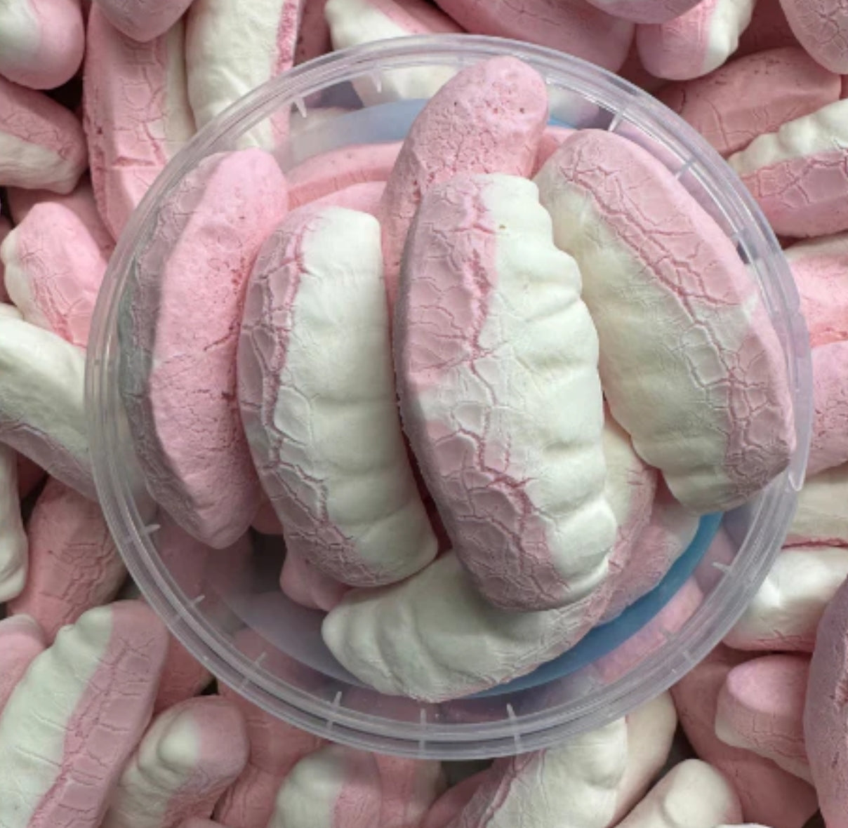 FREEZE DRIED FRESHA TEETH LARGE