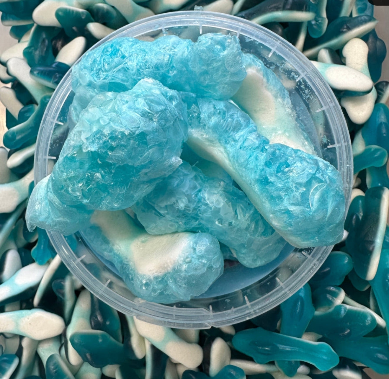 FREEZE DRIED BLUE SHARKS LARGE