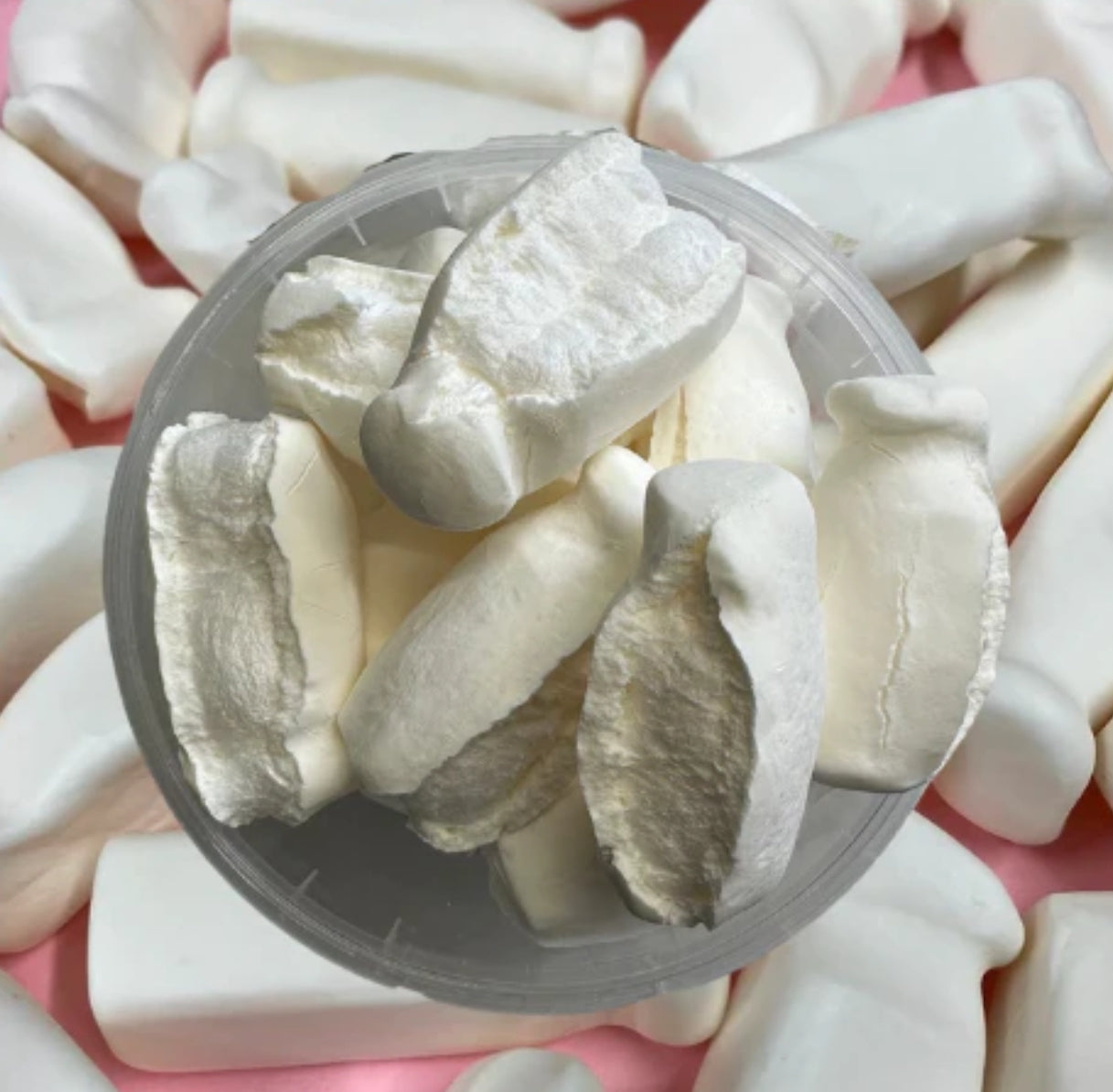 FREEZE DRIED MILK BOTTLES LARGE