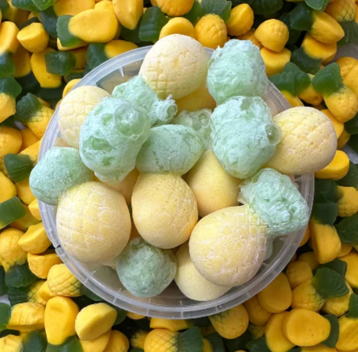 FREEZE DRIED PINEAPPLES REGULAR