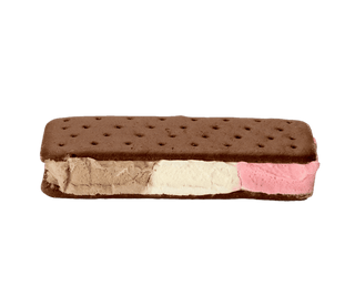 Astronaut Nepolitan Ice cream Sandwich Freeze-Dried 28g