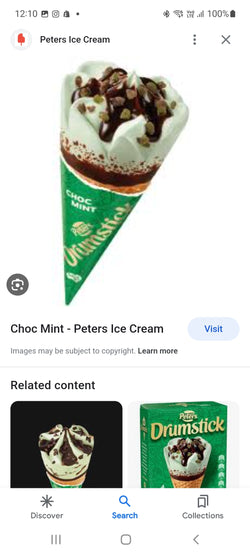 PETERS Choc Mint Drumstick 119ml