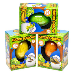 Hatch & Grow assorted