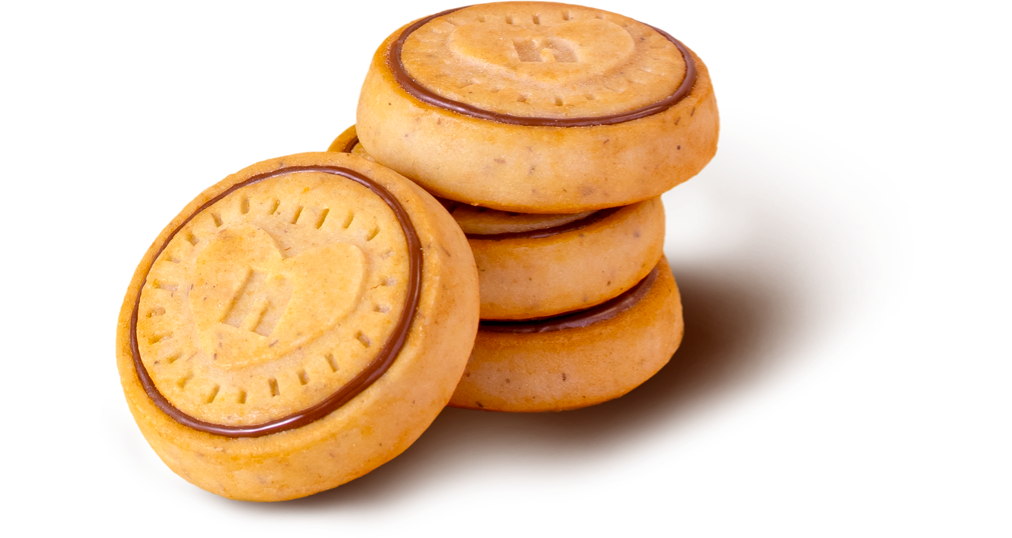 NUTELLA Biscuits 304g